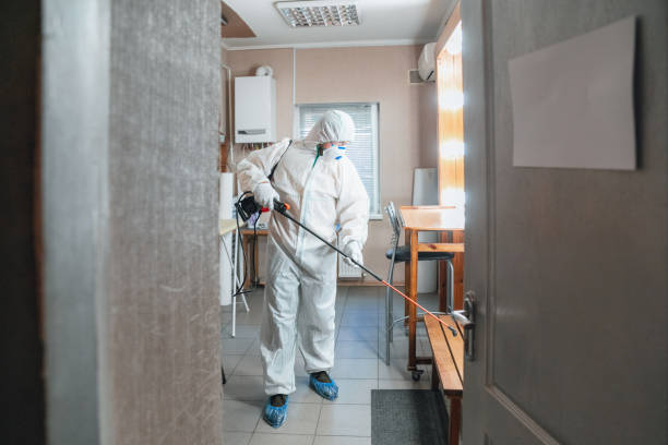 Best Asbestos and Lead Testing During Mold Inspection  in Moore Haven, FL