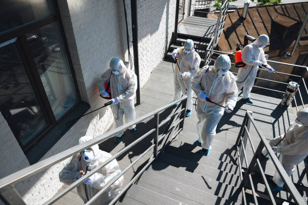 Mold Documentation for Insurance Claims in Moore Haven, FL