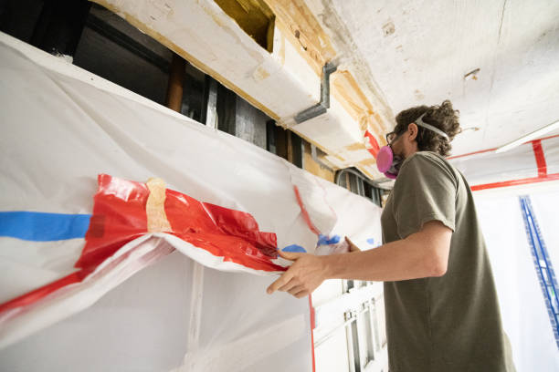 Mold Odor Removal Services in Moore Haven, FL