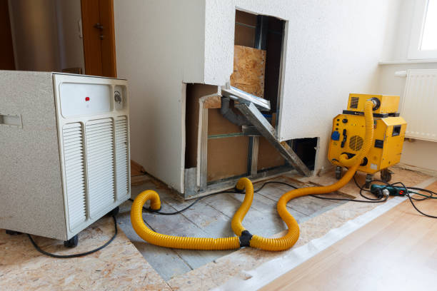 Best Biohazard Mold Removal  in Moore Haven, FL